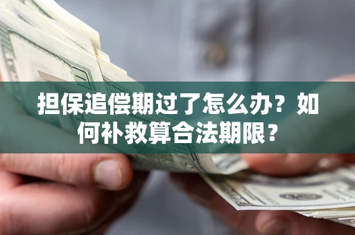 济南担保追偿期过了怎么办？如何补救算合法期限？